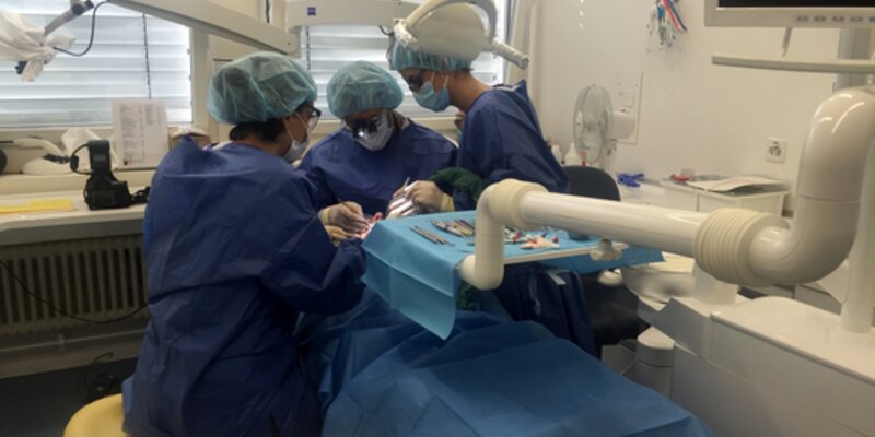 Swiss and Israeli periodontology departments launch postgraduate student exchange programme