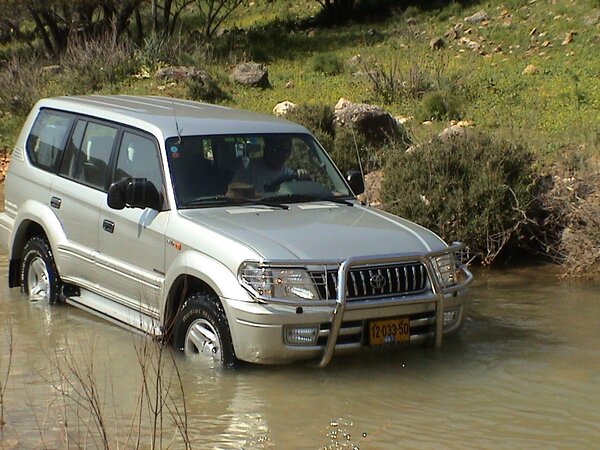 Moshe driving car