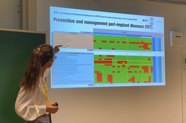 Lambert presents at ADEE EFP session