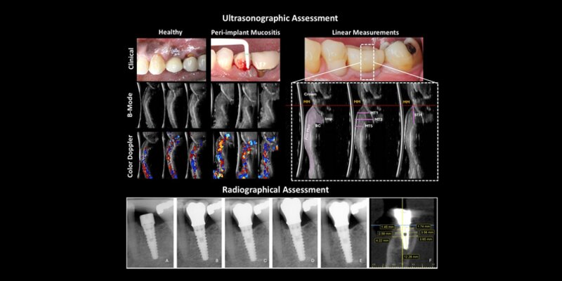 Graphic illustrating research