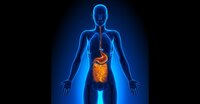 Graphic of human body showing link between mouth and gut