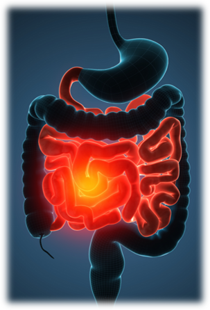 Graphic showing gut microbiome 